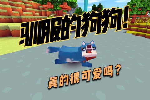 迷你世界狗怎么驯服[图2]