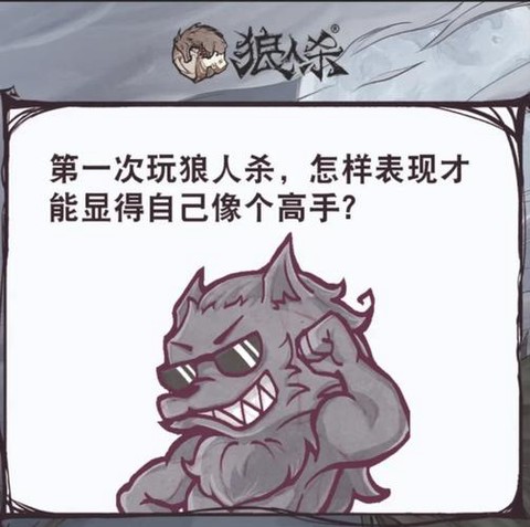 为什么狼人杀登不上去