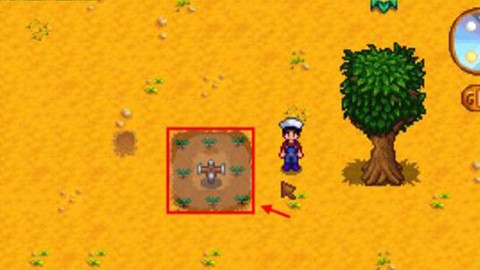 星露谷物语怎么喷水