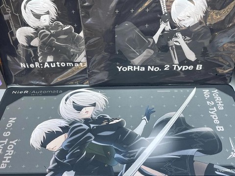 尼尔机械纪元怎么挂机[图2]