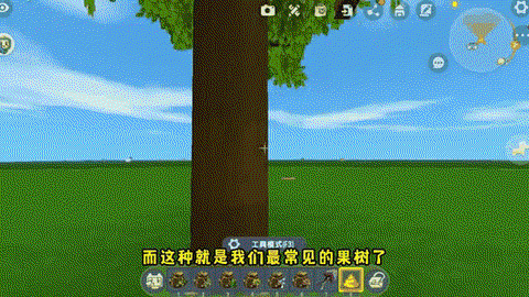 迷你世界怎么让果树[图1]