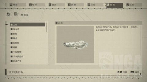 尼尔机械纪元如何钓鱼[图1]