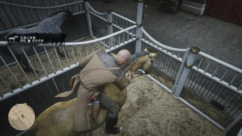 荒野大镖客2怎么养马