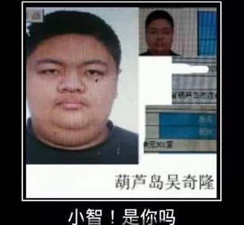 英雄联盟小智怎么了[图1]